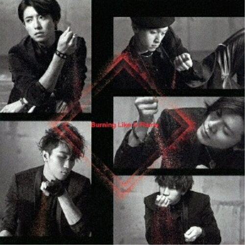 CD / ζ�� / Burning Like A Flame / AVCD-83752