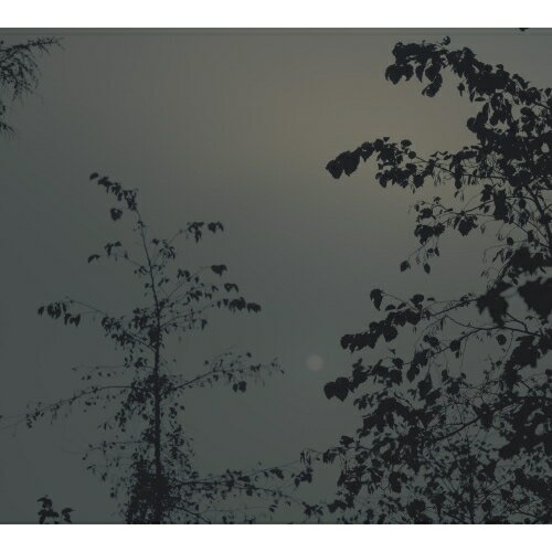 【 お取り寄せにお時間をいただく商品となります 】　・入荷まで長期お時間をいただく場合がございます。　・メーカーの在庫状況によってはお取り寄せが出来ない場合がございます。　・発送の都合上すべて揃い次第となりますので単品でのご注文をオススメいたします。　・手配前に「ご継続」か「キャンセル」のご確認を行わせていただく場合がございます。　当店からのメールを必ず受信できるようにご設定をお願いいたします。 Beside the Moon (紙ジャケット)Itoko Tomaイトコトウマ いとことうま　発売日 : 2025年10月24日　種別 : CD　JAN : 4571256410883　商品番号 : SCH-88【商品紹介】本作は当真伊都子の前作『Beyond the Mountain』と対を成すソロピアノ作品集です。2023 年夏、大磯にあるスタジオ SALO にて録音された本作は、調律師により緻密に調整されたアップライトピアノの音色に導かれ、指の赴くままに紡がれた作品集です。折しも同スタジオにて開催されていた Schole Records のアートディレクターである菊地慎の写真展からインスパイアを受けたピアノソロ楽曲集になっています。まるで月の光のような、優しさを湛えた音色で紡がれる景色。今にも鳥の鳴き声が聞こえてきそうな散歩道、月の光が浮かぶ漣、柔らかな光のそばにある優しい影。そんな景色を映し出す曲たちは、あなたの心を優しく潤すことでしょう。やがて迎える朝が素晴らしい1日となるよう、願いを込めて制作された楽曲をどうぞお楽しみください。【収録内容】CD:11.Robin2.Muni3.Yolu4.Shine5.Lue6.Muku7.Seto