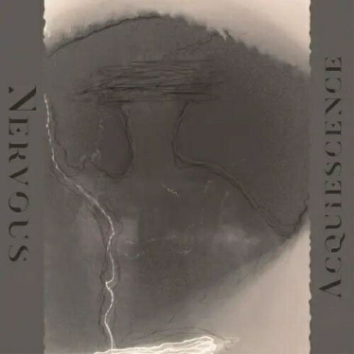 【取寄商品】CD / NERVOUS / ACQUIESCENCE (直輸入盤国内仕様) / BITX-1409