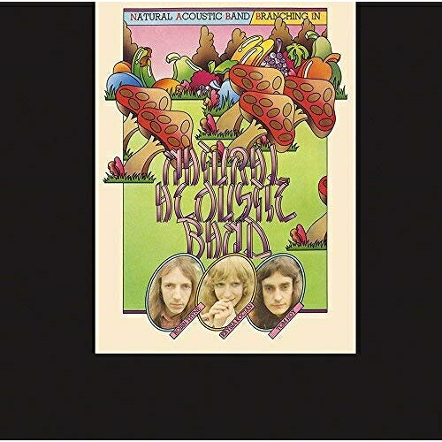 CD / ナチュラル・アコースティック・バンド / 小川のように (解説歌詞対訳付) / SICP-5768