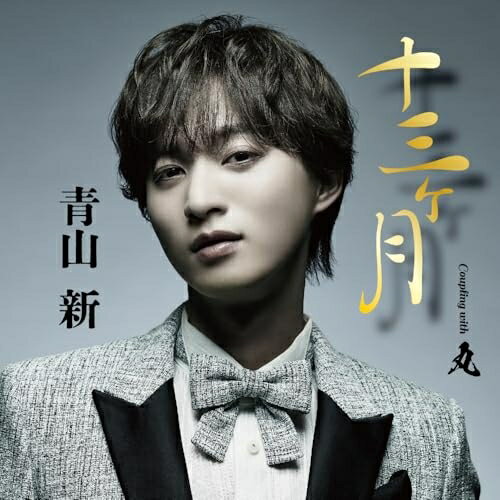 CD / 青山新 / 十三ヶ月 C/W 丸 (メロ譜、ワンポイントアドバイス付) (TYPE 丸) / TECA-26005...