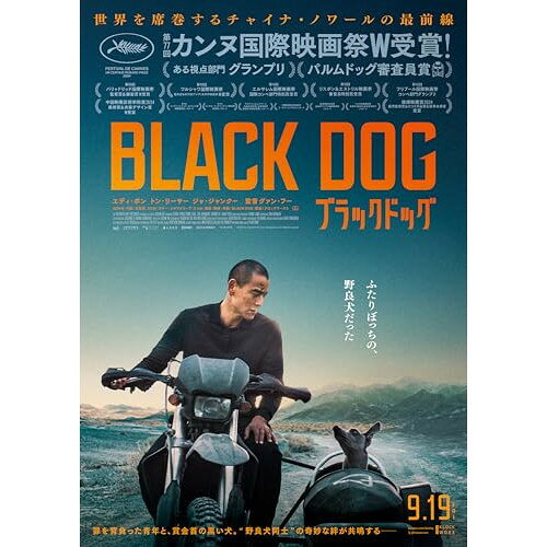 【 お取り寄せにお時間をいただく商品となります 】　・入荷まで長期お時間をいただく場合がございます。　・メーカーの在庫状況によってはお取り寄せが出来ない場合がございます。　・発送の都合上すべて揃い次第となりますので単品でのご注文をオススメいたします。　・手配前に「ご継続」か「キャンセル」のご確認を行わせていただく場合がございます。　当店からのメールを必ず受信できるようにご設定をお願いいたします。 ブラックドッグ洋画エディ・ポン、トン・リーヤー、ジャ・ジャンクー、チャン・イー、グァン・フー、ブレトン・ビビアン　発売日 : 2026年5月13日　種別 : DVD　JAN : 4907953241190　商品番号 : HPBR-3215