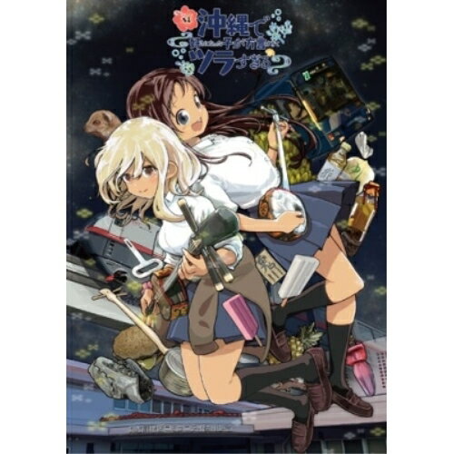 【取寄商品】BD / TVアニメ / 沖縄で好きになった子が方言すぎてツラすぎる 2(Blu-ray) / BIXA-1266