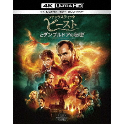 BD / 에디 레도메인 / 판타스틱 비스트와 덤블도어의 비밀 (4K Ultra HD Blu-ray+Blu-ray) (초회 사양판) / 1000818672