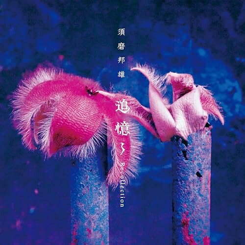 CD / 須磨邦雄 / 追憶〜Recollection (UHQCD) (解説付/ライナーノーツ/E式シングル紙ジャケット) (完全限定盤) / IACD-11662