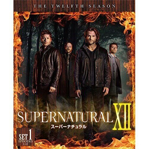 SUPERNATURAL XII スーパーナチュラル(トゥエルブ) 前半セット海外TVドラマジャレッド・パダレッキ、ジェンセン・アクレス、ミシャ・コリンズ　発売日 : 2018年9月13日　種別 : DVD　JAN : 4548967395440　商品番号 : 1000726484