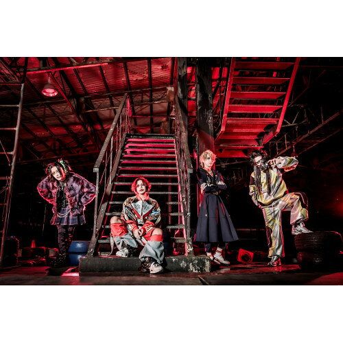 【取寄商品】DVD / コドモドラゴン / CODOMO DRAGON ONEMAN TOUR「ニュースタンダード-権化-」-TOUR FI..