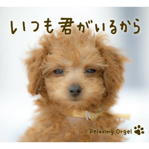 【取寄商品】CD / オルゴール / いつも君がいるから / DLOR-626