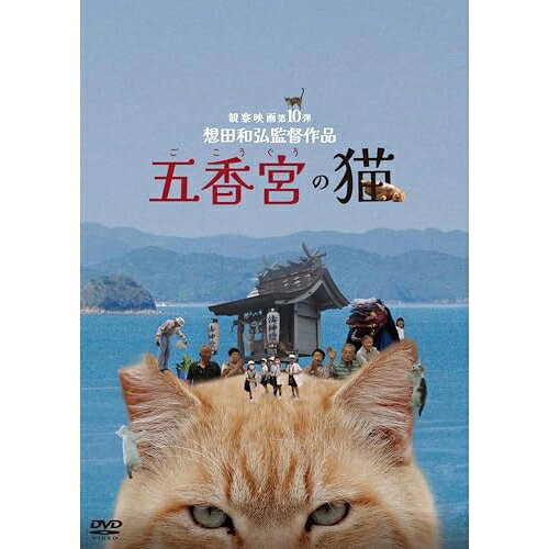【取寄商品】DVD / 邦画 / 五香宮の猫 / KKJS-211