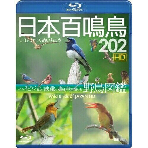 【取寄商品】BD / 趣味教養 / 日本百鳴鳥 202 HD ハイビジョン映像と鳴き声で愉しむ野鳥図鑑 Wild Birds of Japan HD(Blu-ray) / RDA-16
