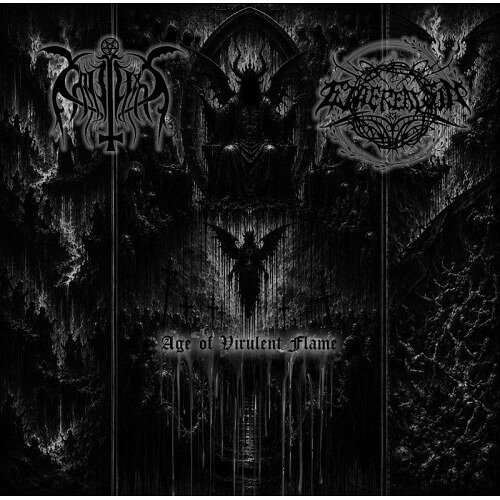 【取寄商品】CD / Cataplexy/Ethereal Sin / Age of Virulent Flame / ZDR-118