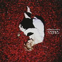 【新古品（未開封）】【CD】Acid Black Cherry「2012」(DVD付A) [AVCD-32200]