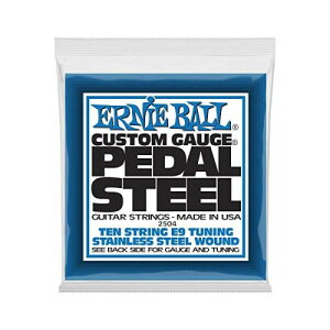 ERNIE BALL 2504 ペダル・スティール・ギター弦 10弦 (13-38) 10-STRING PEDAL STEEL E9 TUNING STAINLESS STEEL
