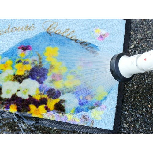 サンプル画像2