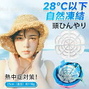 新生活用品 アイスパッド ヘッド冷却 冷感 気持ちがいい 帽子用アイスマット アイスマット帽子用 携帯に便利 大人用 子供用 夏用 外出 熱中症対策 冷却冷感