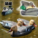 狩猟用 鴨 オスメスセット デコイ でこい おとり 囮 雄雌 夫婦 セット 2個セット 水に浮く リアル 番 つがい 夫婦 雄雌 おすめす 1:1
