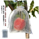 防虫ネット 果実袋 りんご袋 果物ネット 100枚入 果物保護バッグ 葡萄園芸 ネット ぶどう袋 果樹用防鳥ネット イチゴ カラス対策