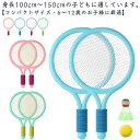 子供用バドミントンセット 軽量ラケット 親子で楽しめるスポーツ用品 3歳から10歳向け