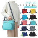 折りたたみ 10L 保冷バッグ クーラーボックス 2個セット 防水 軽量 アウトドア キャンプ レジャー コンパクト