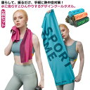 タオル ネッククーラー 2枚セット 冷感タオル クールタオル スーパークール ひんやり 冷たい 子供 アウトドア フェイスタオル 大人 冷感 猛暑 夏 冷却タオ...