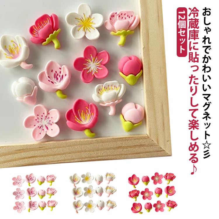 ڳŷѡSALEоݾʡ   ¢˥ޥͥå 12ĥå  ߥ˥ޥͥå ե  ƥꥢ å ʸ  ʥ...