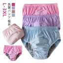 失禁ショーツ 150cc 介護パンツ 婦人用 吸水パンツ 通気性 防水構造 大人用 洗える 尿漏れ対策 シニア向け