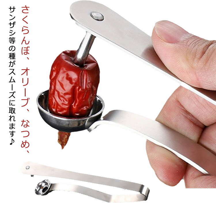 【今だけ全品SALE★クーポン配布中｜01/05 23:59まで】 タネ取り器 チェリー なつめ オリーブ さくらんぼ 種抜き ステンレス 調理器具 お菓子作り 製菓用品 簡単操作