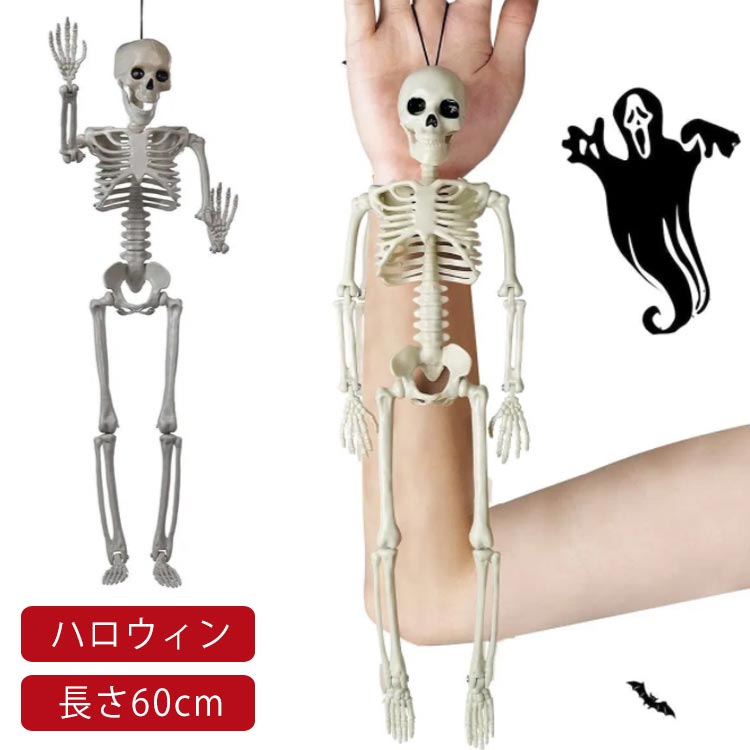 ガイコツ ハロウィン 飾り 骸骨 スケルトン 装飾用 吊り下げ パーティー 学園祭 店舗装飾 60cm リアル ホラーディスプレイ