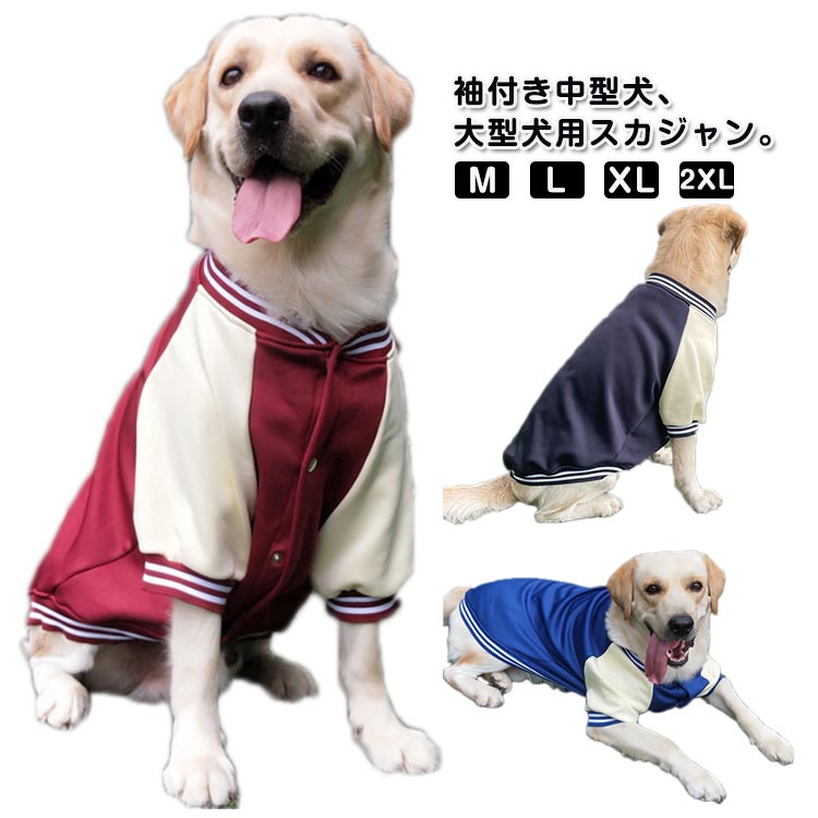 ե륭㤨ָ    ڥåȥ  µդ 緿 淿 ɥå ѡ Ȥ ɴ  ݲ ॸѡפβǤʤ1,599ߤˤʤޤ