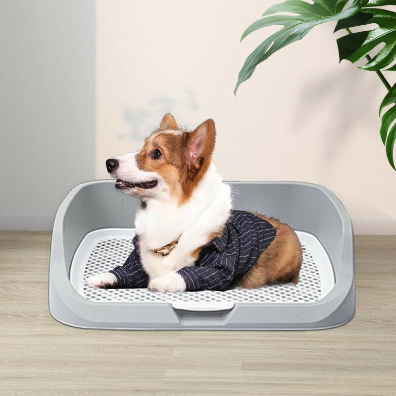 乐天商城 - 【★店内全品対象クーポン有★】 犬トイレトレー ワイド しつけ 清潔 ほとばしり防止 犬用トイレ ペット用 トレーニングトイレ