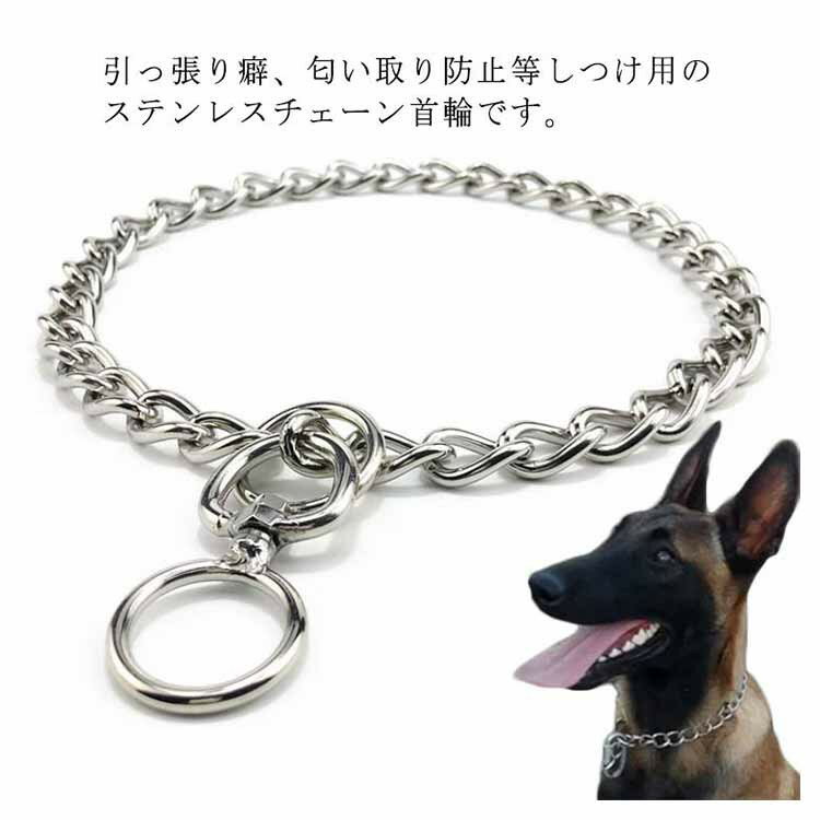 樂天商城 - 犬 首輪 ステンレス チェーン 引っ張り しつけ用 訓練 トレーニング 大型犬 中型犬 簡単装着 ベルジアンマリノア ゴールデンレトリバー ロットワイラー 柴犬 犬用品 お散歩グッズ