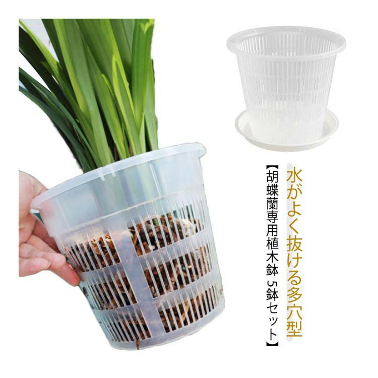 乐天商城 - 【★店内全品対象クーポン有★】 透明 プラスチック 植木鉢 5鉢セット 洋蘭 胡蝶蘭 観葉植物 多肉植物 鉢 排水穴付き