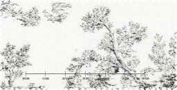 エグゼグティブ ホワイト系 花柄 メンズ オーダーシャツ 綿100％ ポリ00％ 【RCP】【3320620001】