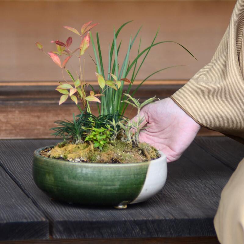 �ߺ���ȭ Syunbun��̵�١�MUI�ˡ�ƫ�� �ߺ�ȭ ����ȭ ��ʪ �����ǥ˥� ȭ�� ���� ���� ����̵�� �ݥ���Ⱦò�