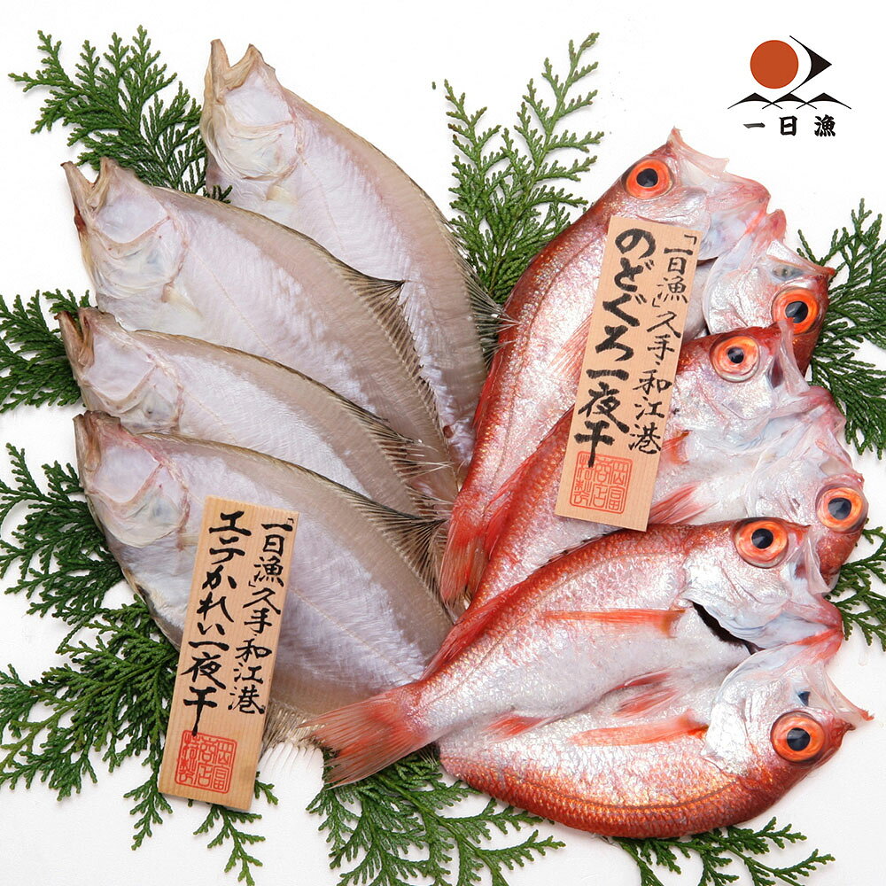 のどぐろ 一夜干し かれい セット 島根 岡富商店 「一日漁」 送料無料 ギフト 高級魚 冷凍