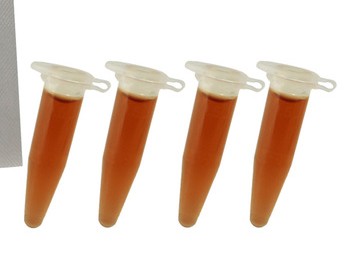 プライバシー配送 エナジーリキッド 02 0.5ml×4本入 女性向け 液体 サプリメント ...