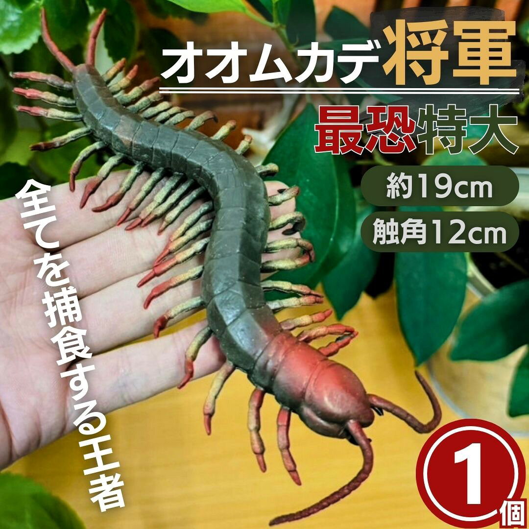 オオムカデ将軍 1個 びっくり フィギュア 置物 玩具 おもちゃ おもしろ パーティーグッズ ドッキリ グッズ特大サイズ 縦約19cm(触角含めない)×横約10cm×高さ約2cm 重量約40g 素材 ゴム製【セット内容】 1個＊被害を100%防ぐ物ではございませんのでご了承ください＊ムカデの好物はゴキブリやクモ、コオロギ、ミミズなどを捕食します＊こちらのムカデはリアルで本当にびっくりするので遊ぶ時は人の迷惑にならないよう遊んでください。トラブルについての責任は一切負いかねますこちらのムカデのおもしろパーティーグッズは、パニックアイテムとしても、驚かしグッズとしても、笑えるプレゼント、笑顔になれるアイテム、として状況に応じ家族、友達、大事な人と楽しんでお使いいただけますハウス、畑、ベランダ、屋外、ガーデニング、鉢植え、観葉植物、果樹園、菜園、庭、農地、温室、車庫、倉庫、台所、トイレ、生ごみ付近、ペット近辺などの害虫が発生する場所で大活躍！室内でも屋外でもあらゆる害虫から守ってくれることに期待できます