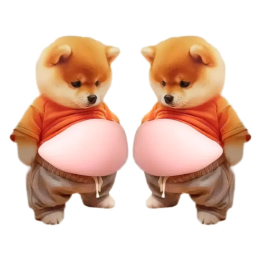 ぷにっとした立体感がクセになる、思わず触りたくなる3Dおなかシール。柴犬をはじめとした可愛らしいキャラクターたちの“ぽっこりおなか”が、見た目にも楽しく、触感でも楽しめるユニークなステッカーです。やわらかく弾力のあるぷにぷに部分は、つい何度も押したくなる心地よさで、ちょっとしたストレス発散にもぴったりです。本商品は平面ステッカーとは異なり、おなか部分が立体的に盛り上がった仕様になっており、視覚的なインパクトと触覚の楽しさを同時に味わえます。スマートフォンやパソコン、手帳、家具、ドア周りなど、さまざまな場所に貼ることで、日常のちょっとした空間に遊び心をプラスできます。ドアストッパーとしての使用や、ぶつかり防止のクッションとしても活用できる実用性も魅力のひとつです。デザインは「柴犬」「猫スーツ」「猫サングラス」「猫カジュアル」の4種類をご用意。それぞれ表情や雰囲気が異なり、並べて貼ることでより楽しい演出も可能です。お部屋のアクセントとしてはもちろん、子どもから大人まで幅広く楽しめるアイテムとなっています。粘着面はしっかり貼り付く仕様でありながら、一般的な平滑面であれば簡単に取り付けが可能です。スマホケースや壁面などに貼ることで、オリジナルのカスタマイズも楽しめます。また、軽量で扱いやすく、プレゼントやちょっとしたギフトとしてもおすすめです。【特徴】 ・ぷにぷに触感の立体おなかデザイン ・見た目も楽しい3Dステッカー ・スマホや家具、ドアなど幅広く使用可能 ・ぶつかり防止や簡易クッションとしても活躍 ・選べる4種類のかわいいデザイン【使用シーン】 ・スマートフォンやタブレットの装飾 ・ドアや壁のアクセントや衝撃緩和 ・デスク周りや雑貨のワンポイント ・お子様のおもちゃ感覚のアイテムとして見て楽しい、触って癒される、新感覚のぷにぷにシール。日常にちょっとした遊び心をプラスしたい方におすすめのアイテムです。【仕様】サイズ シール全体サイズ 縦約12cm×横約17cm おなかのシリコン部分の厚さ約1.5cm 重量約30g 素材 紙、シリコン【種類】 柴犬／猫スーツ／猫サングラス／猫カジュアル【内容品】 1枚（左右2個入り）※1種類のお値段です。 ※許容範囲誤差±1mm ※海外製品のため、輸送時に軽微な折れやシワが生じる場合がございます。 ※おなかのシリコン部分が一部汚れている場合がございます。生産時に生じた汚れですのでご了承ください。 ※貼り付け面の素材や状態によっては、粘着力に差が出る場合がございます。 ※強い衝撃や過度な力を加えると破損の原因となりますのでご注意ください。