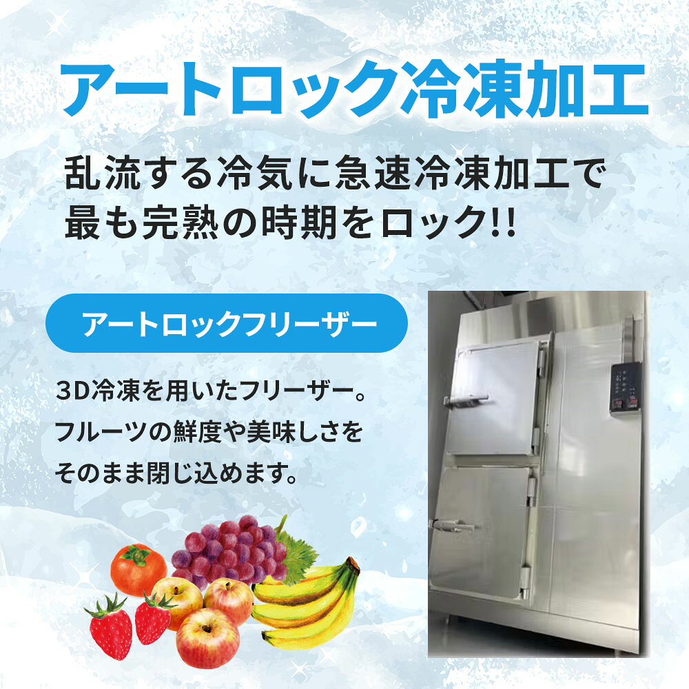 オアシス商事の甘さと香りが際立つ国産みかんの最高峰 マドンナみかん 500g×2パック 冷凍フルーツ そのまま食べるだけ 国産｜アングル3