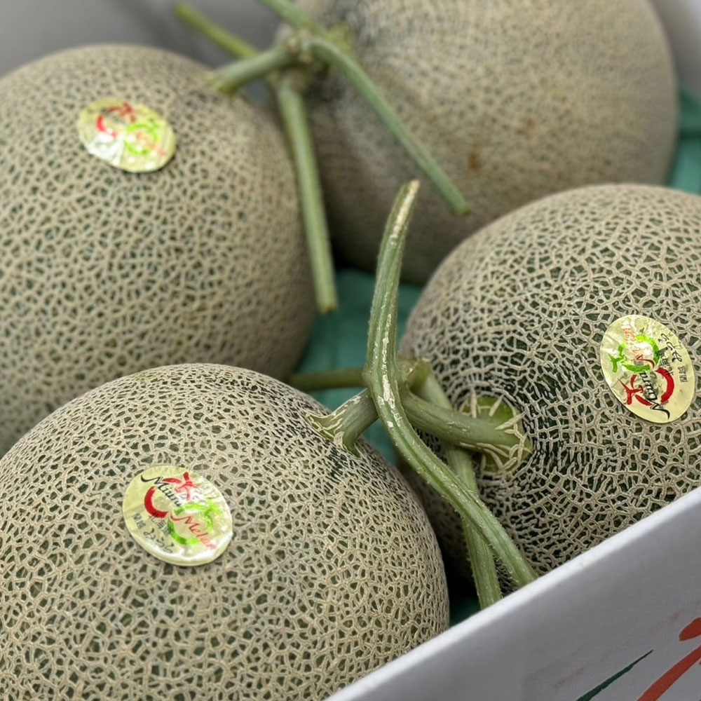 オアシス商事の濃厚な甘さが口いっぱいに広がる 北海道らんこし赤肉メロン 500g×2パック 冷凍フルーツ 贅沢デザート｜アングル3