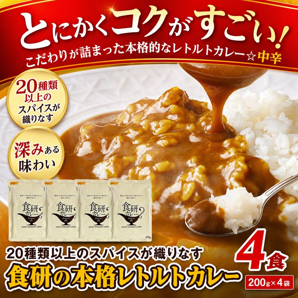 とにかくコクがすごい！こだわりが詰まった本格的なレトルトカレー☆中辛とにかくコクがすごい！こだわりが詰まった本格的なレトルトカレー☆中辛