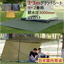 【国内発送 04/20限定 5 OFFクーポン P9倍】Fengzel Outdoor グランドシート テントシート 300 300cm 耐水圧3000mm 高耐水 UV カット 軽量 断熱 4本ペグ付き キャンプマット レジャーシート タープ サンシェード