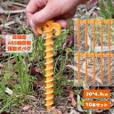 Fengzel Outdoor 強靭ABS樹脂 螺旋式ペグ 20*4.5cm 10本セット ビーチ キャンプ テント タープ 設営用品