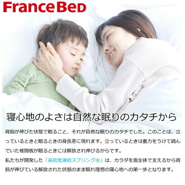 【フランスベッド公認ECショップ】フランスベッド ソファベッド スイミー Plus レギュラー(幅190cm)脚付きfrance bed フランスベッド高密度連続スプリング/AGliza アグリーザ/ブレスエアー銀イオン/除菌/抗菌防臭/脚付け外し可能送料無料
