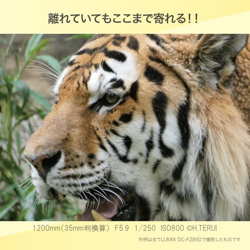 パナソニック(Panasonic) LUMIX...の紹介画像3