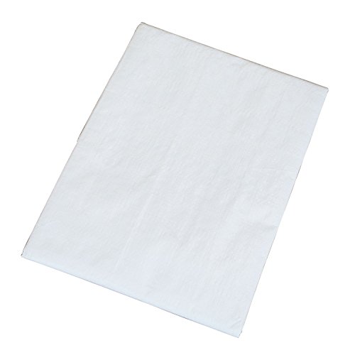 �楿���ᥤ�� #3000 �ۥ磻�ȥ����� 2.7m��3.6m WHS-05 �ɿ� ���ָ� �쥸�㡼������ �������С� ���Ѥߥ��С�