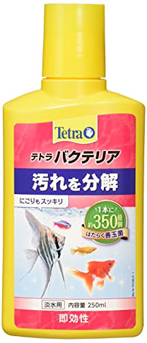 テトラ (Tetra) バクテリア 250ミリリットル 水槽の汚れを分解するお掃除バクテリア添加剤 はたらく善玉菌 にごりもスッキリ 長期保存可
