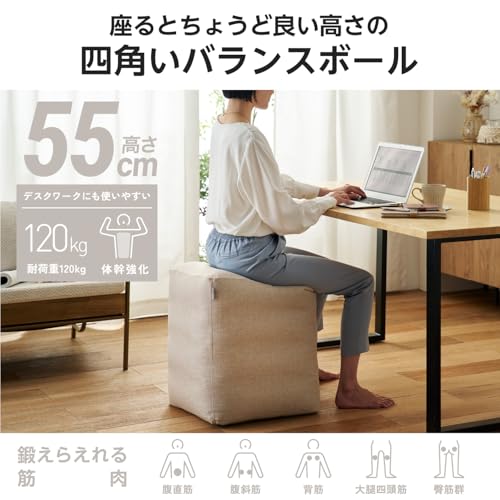 エレコム バランスボール チェア 高さ55cm 幅40cm 奥行43cm スクエア型 転がらない...