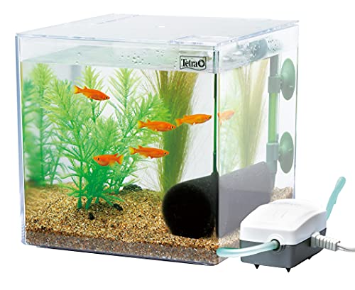 乐天商城 - テトラ (Tetra) プラスチック水槽 メダカを育てよう PL-17KB 卵や稚魚を吸い込まないエアリフト方式のスポンジフィルター採用