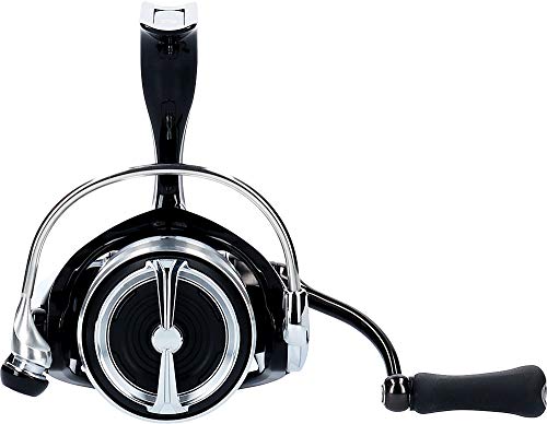������(DAIWA) ���ԥ˥󥰥꡼�� 19 �쥰�� LT2500(2019��ǥ�)